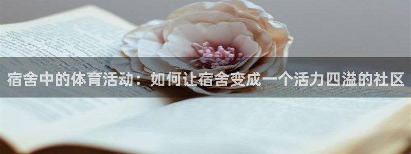 劲球体育直播免费观看：宿舍中的体育活动：如何让宿舍变成一个活力四溢的社区