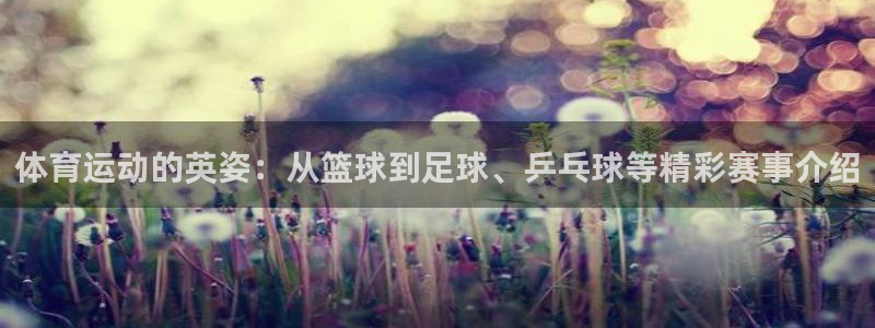 劲球体育频道在线直播：体育运动的英姿：从篮球到足球、乒乓球等精彩赛事介绍