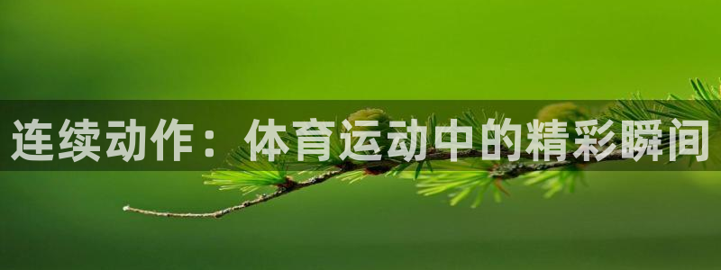 劲球体育在线直播NBA：连续动作：体育运动中的精彩瞬间