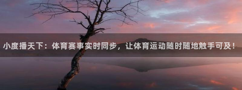 劲球体育频道在线直播：小度播天下：体育赛事实时同步，让体育运动随时随地触手可及！