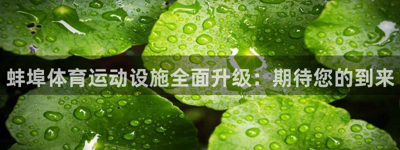 劲球体育免费观看高清视频：蚌埠体育运动设施全面升级：期待您的到来