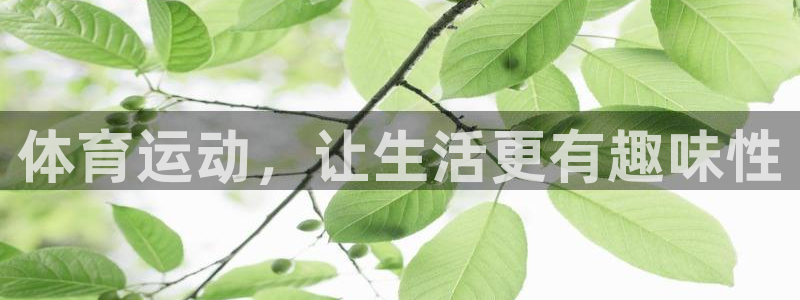 劲球体育直播在线观看高清：体育运动，让生活更有趣味性